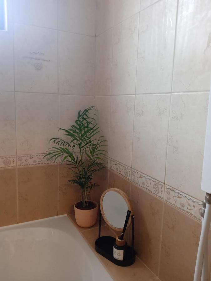 Mila Vip Apartment بانسكو المظهر الخارجي الصورة