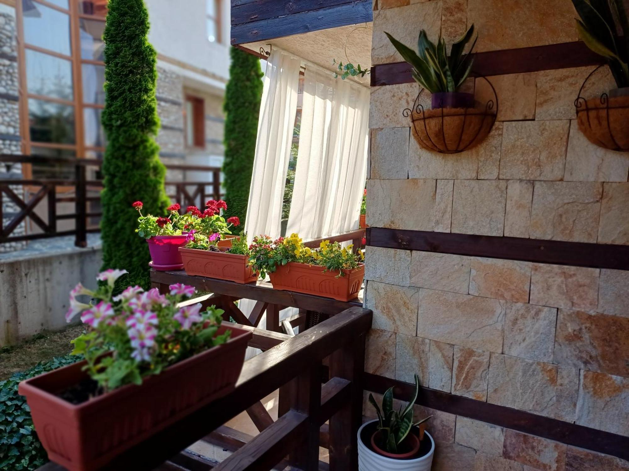 Mila Vip Apartment بانسكو المظهر الخارجي الصورة